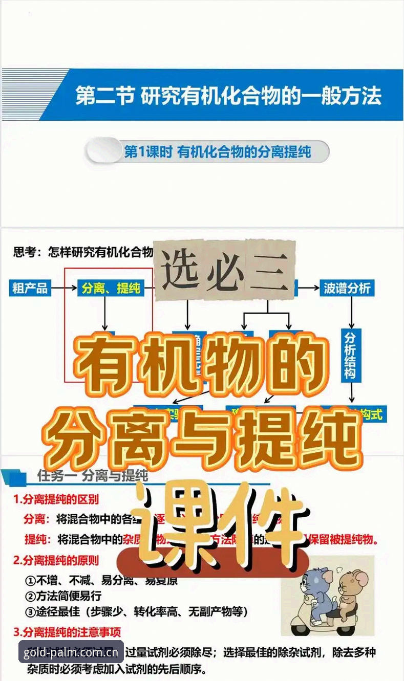 资深用户深度解析：2025世界杯观赛签证危机下的观赛攻略与实战经验